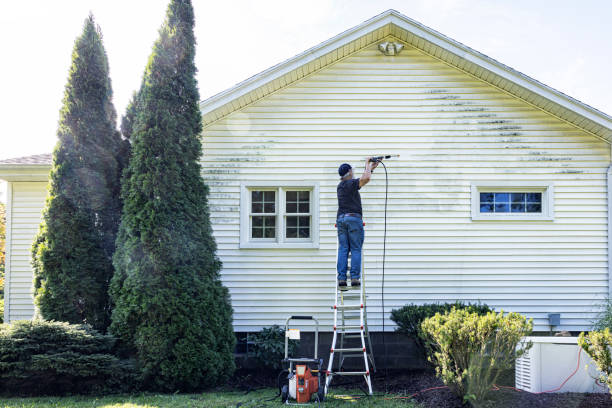 Best Roof Washing  in Gunnison, UT
